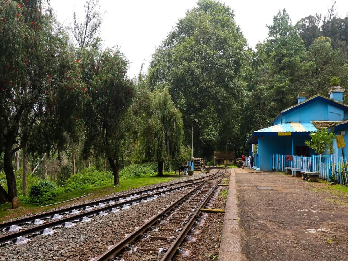 The Byke Sunshine Grand Hotell Ooty Exteriör bild